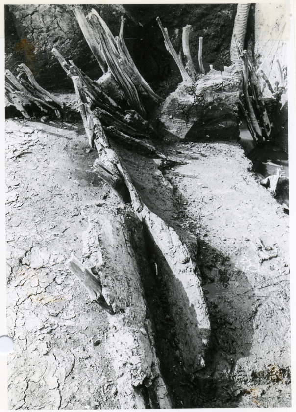 Het fragment van een boomstamkano zoals die gevonden werd tijdens de opgraving. Foto gemaakt door ROB en uit de collectie van het Noordelijk Archeologisch Depot.
